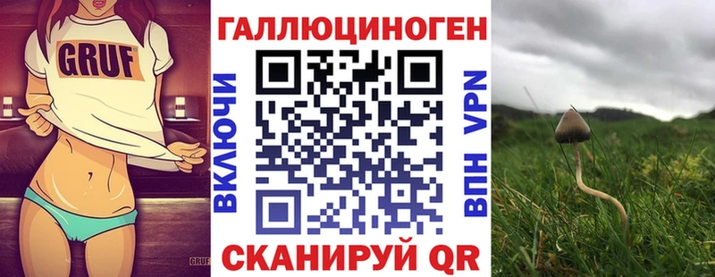 что такое   Пролетарск  Псилоцибиновые грибы Psilocybine cubensis 